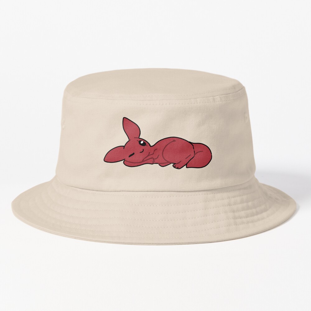 ssrcobucket hatproducte5d6c5f62bbf65eesrpsquare1000x1000 bgf8f8f8.u2 60 - Rain World Store